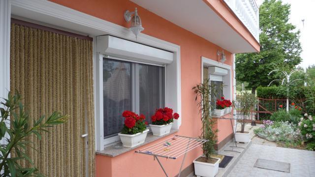 Gizella Apartmanhaus Bük Rum bild
